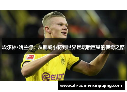 埃尔林·哈兰德：从挪威小将到世界足坛新巨星的传奇之路