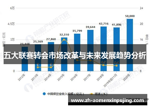 五大联赛转会市场改革与未来发展趋势分析